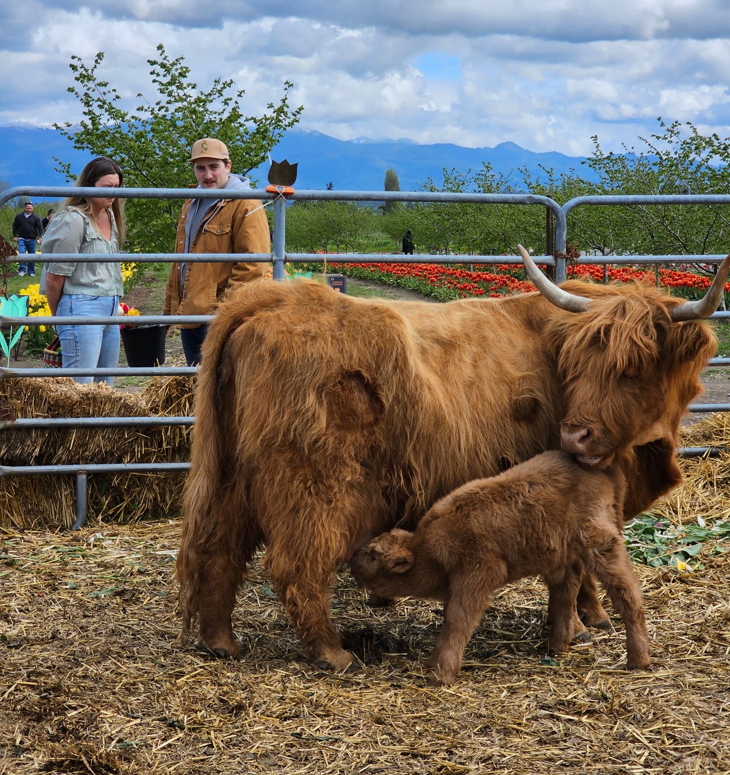 Agritourism Almanac E-book